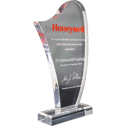 Honeywell Outstanding Partner Award 2016